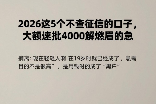 19岁黑户必看！2026这5个不查征信的口子，大额速批4000解燃眉之急