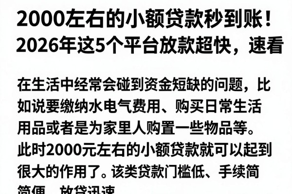 2000左右的小额贷款秒到账!2026年这5个平台放款超快,速看