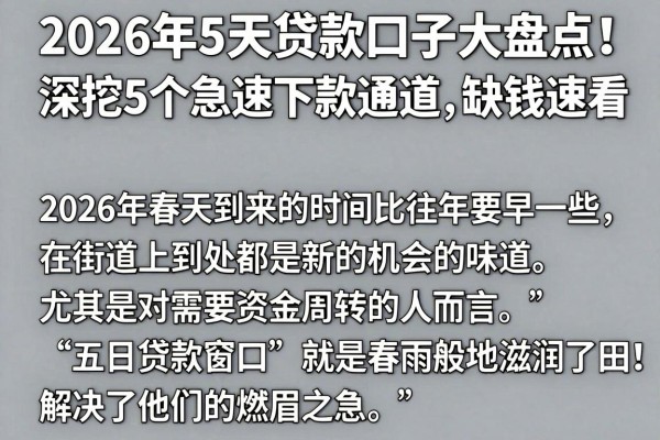 2026年5天贷款口子大盘点!深挖5个急速下款通道,缺钱速看