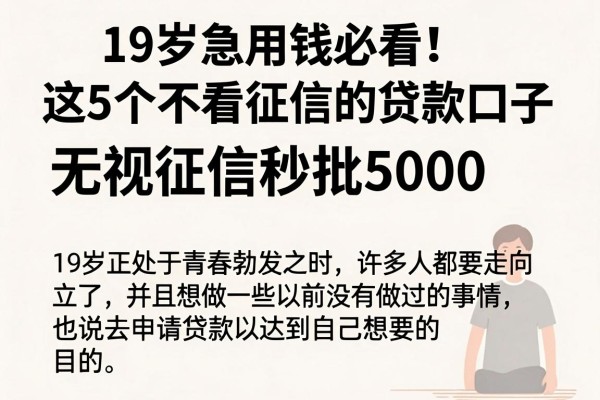 19岁急用钱必看!这5个不看征信的贷款口子,无视征信秒批5000