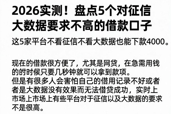 2026实测！盘点5个对征信大数据要求不高的借款口子，这5家平台不看征信不看大数据也能下款4000