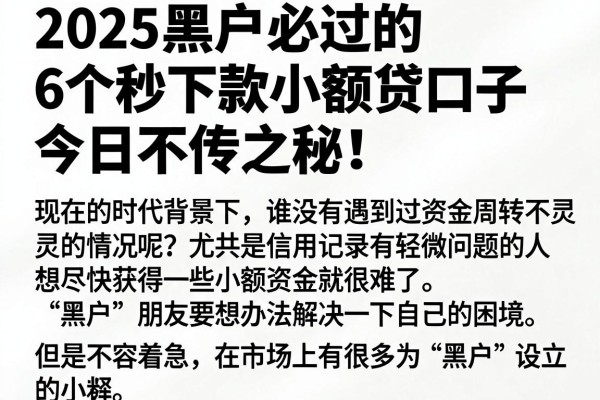 2025黑户必过的6个秒下款小额贷口子,今日不传之秘!