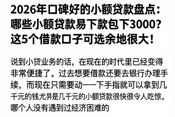 2026年口碑好的小额贷款盘点:哪些小额贷款易下款包下3000?这5个借款口子可选余地很大!