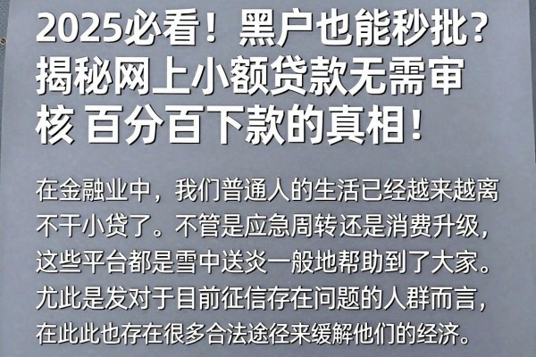 2025必看！黑户也能秒批？揭秘网上小额贷款无需审核百分百下款的真相