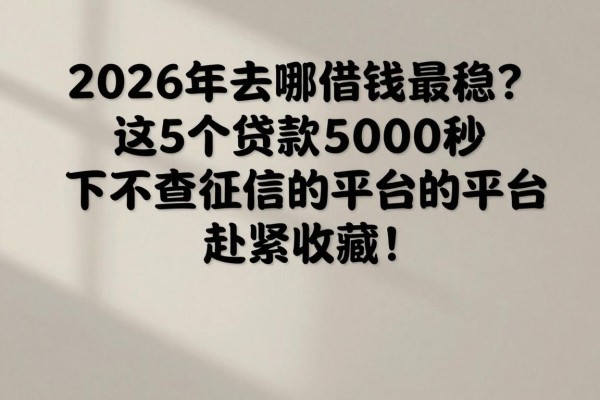 2026年去哪借钱最稳?这5个贷款5000秒下不查征信的平台赶紧收藏!