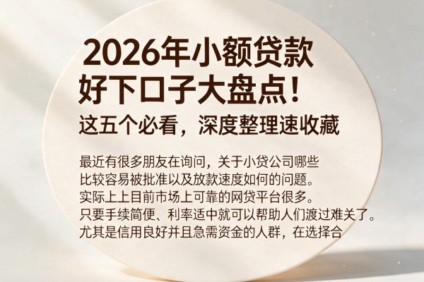 2026年小额贷款好下口子大盘点！这五个必看，深度整理速收藏