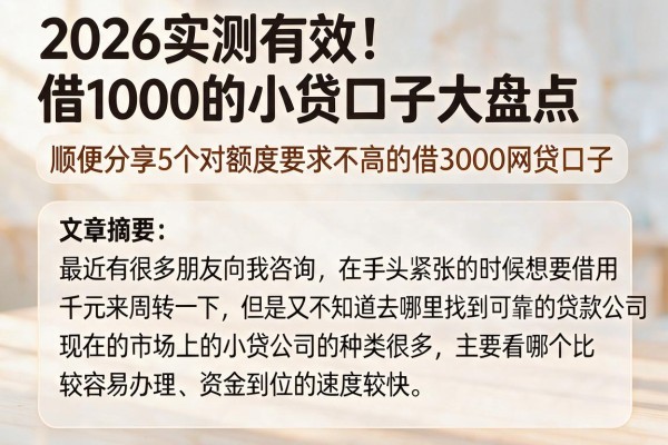 2026实测有效！借1000的小贷口子大盘点，顺便分享5个对额度要求不高的借3000网贷口子