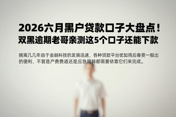 2026六月黑户贷款口子大盘点！双黑逾期老哥亲测这5个口子还能下款