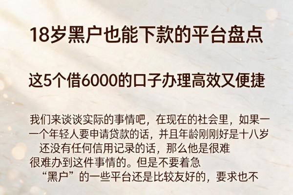 18岁黑户也能下款的平台盘点，这5个借6000的口子办理高效又便捷