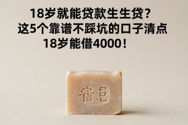 18岁就能贷款学生贷?这5个靠谱不踩坑的口子清点,18岁能借4000!