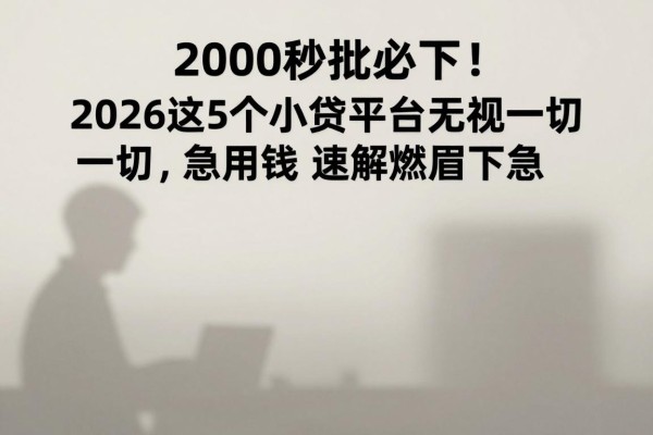 2000秒批必下！2026这5个小贷平台无视一切，急用钱速解燃眉之急