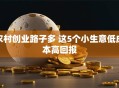 农村创业路子多 这5个小生意低成本高回报