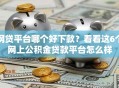 网贷平台哪个好下款？看看这6个网上公积金贷款平台怎么样