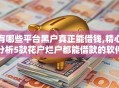 有哪些平台黑户真正能借钱,精心分析5款花户烂户都能借款的软件