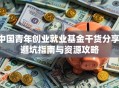 中国青年创业就业基金干货分享：避坑指南与资源攻略