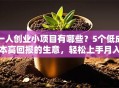 一人创业小项目有哪些？5个低成本高回报的生意，轻松上手月入过万！