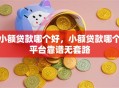小额贷款哪个好，小额贷款哪个平台靠谱无套路