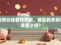 我想办经营性贷款，现在的年利率是多少呀？