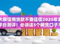 大额信用贷款不查征信2025年多平台测评！必讲这5个网贷口子不查征信借钱