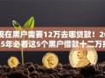 现在黑户需要12万去哪贷款！2025年必看这5个黑户借款十二万找网贷软件