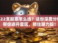 222支股票怎么选？这份深度分析帮你避开雷区，抓住潜力股！