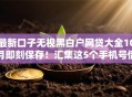 最新口子无视黑白户网贷大全10月即刻保存！汇集这5个手机号借款无视黑白户