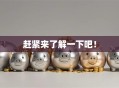 赶紧来了解一下吧！