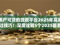 黑户可贷的贷款平台2025年高通过技巧！深度诠释5个2025最易下款网贷口子