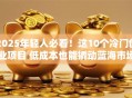2025年轻人必看！这10个冷门创业项目 低成本也能撬动蓝海市场