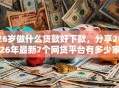 26岁做什么贷款好下款，分享2026年最新7个网贷平台有多少家