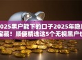 2025黑户能下的口子2025年隐藏宝藏！顺便精选这5个无视黑户也能贷款的软件