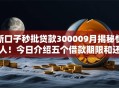 新口子秒批贷款300009月揭秘惊人!今日介绍五个借款期限和还款期限 新口子秒批贷款300009月揭秘惊人!今日介绍五个借款期限和还款期限