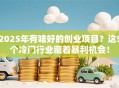 2025年有啥好的创业项目？这5个冷门行业藏着暴利机会！