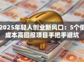 2025年轻人创业新风口：5个低成本高回报项目手把手避坑