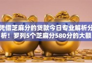 凭借芝麻分的贷款今日专业解析分析！罗列5个芝麻分580分的大额口子