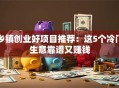 乡镇创业好项目推荐：这5个冷门生意靠谱又赚钱