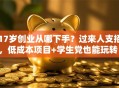 17岁创业从哪下手？过来人支招，低成本项目+学生党也能玩转！