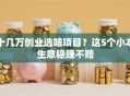 十几万创业选啥项目？这5个小本生意稳赚不赔