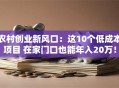 农村创业新风口：这10个低成本项目 在家门口也能年入20万！