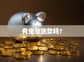 有免息贷款吗？