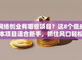 网络创业有哪些项目？这8个低成本项目适合新手，抓住风口轻松起步！