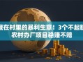 藏在村里的暴利生意！3个不起眼农村办厂项目稳赚不赔