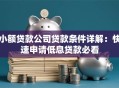 小额贷款公司贷款条件详解：快速申请低息贷款必看