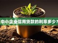 中小企业信用贷款的利率多少？