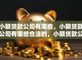 小额贷款公司有哪些，小额贷款公司有哪些合法的，小额贷款公司有哪些利息低的