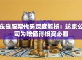 东磁股票代码深度解析：这家公司为啥值得投资必看