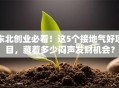 东北创业必看！这5个接地气好项目，藏着多少闷声发财机会？