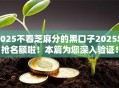 2025不看芝麻分的黑口子2025年抢名额啦！本篇为您深入验证！
