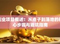 创业项目概述：从点子到落地的核心步骤与避坑指南