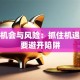 创业机会与风险：抓住机遇，更要避开陷阱